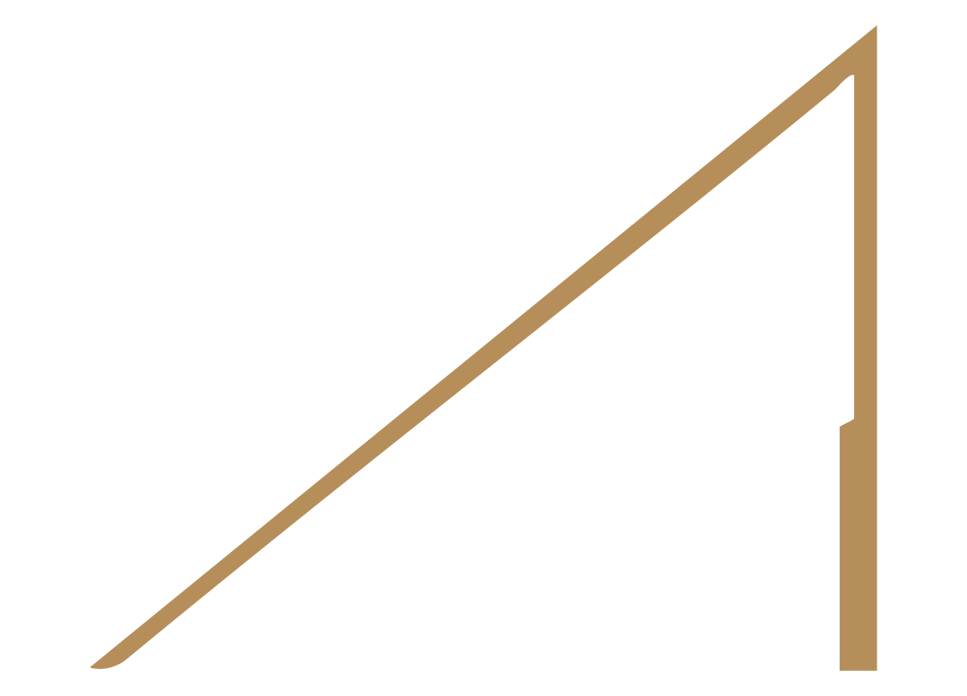 icon-2-caerus